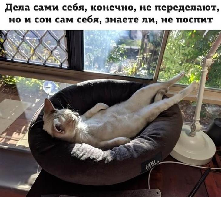 17 угарных приколов для отличного настроения 