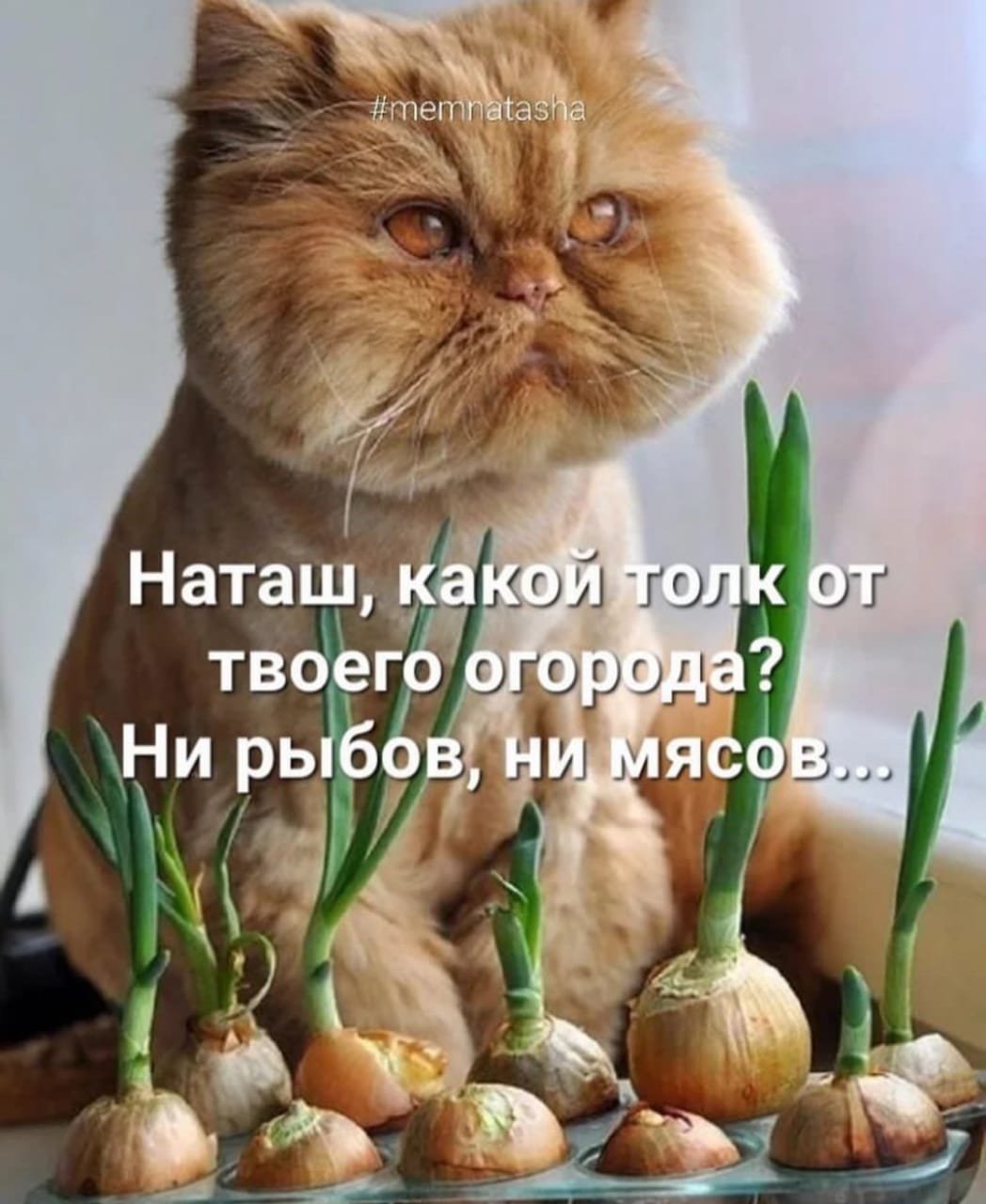 Доза позитива для хорошего настроения