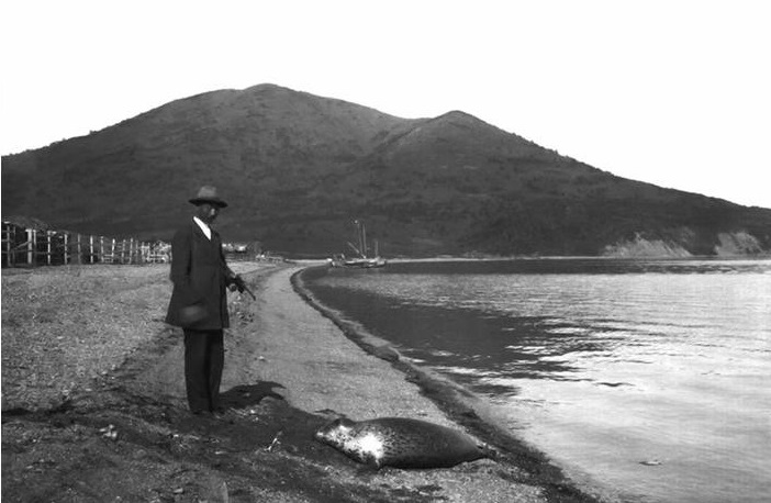 Как Камчатка едва не стала ещё одним штатом США