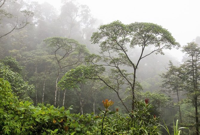 10 потрясающих мест планеты, где почти не ступала нога человека неизведанное,неизученное,планета,природа