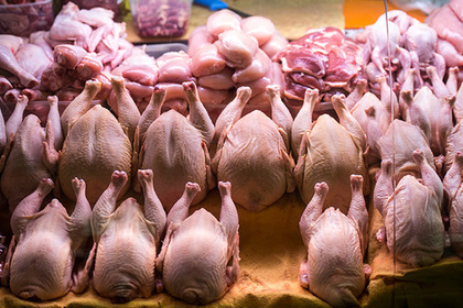 Chicken meat in Russia was life-threatening