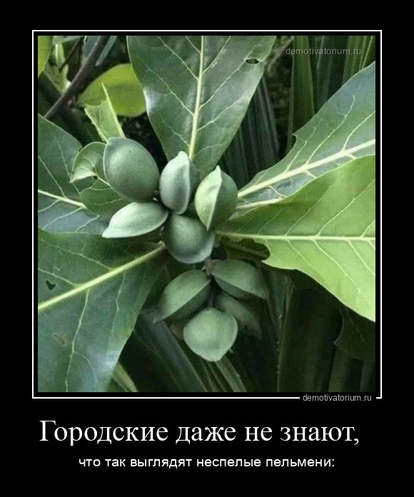 Демотиваторы в конце недели: «Поддержка коллег важна» Демотиваторы в конце недели: «Поддержка коллег важна»