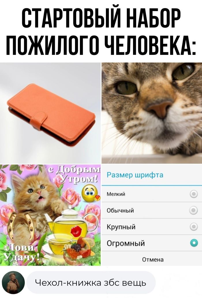 Колкие комментарии, которые как острый соус приправляют сам пост Колкие комментарии, которые как острый соус приправляют сам пост