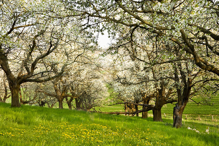 Попробуйте найти голую девушку на фотографии Путешествия,фото