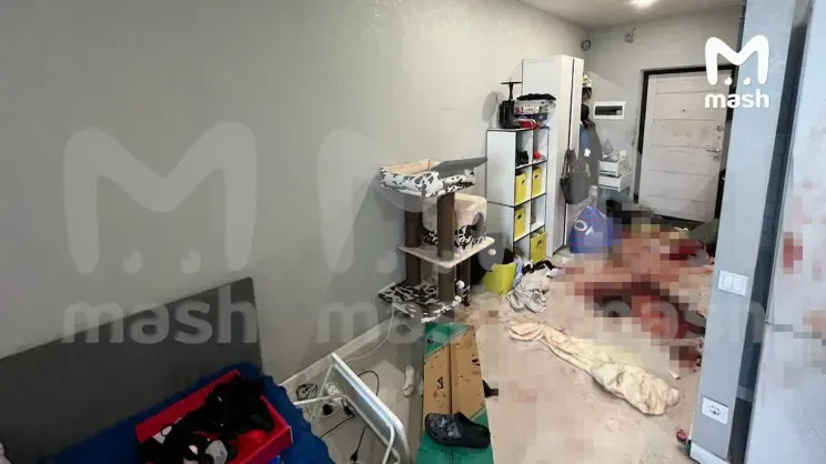 Актёр Владислав Бенграф и его жена зарезали друг друга во время ссоры Бенграф, Евгения, места, Владислав, несколько, также, трагедии, театре, женойВладислав, произошёл, мужчина, Позже, друзьями, затем, спектакле, новом, направился, подробности, квартиру, узнать