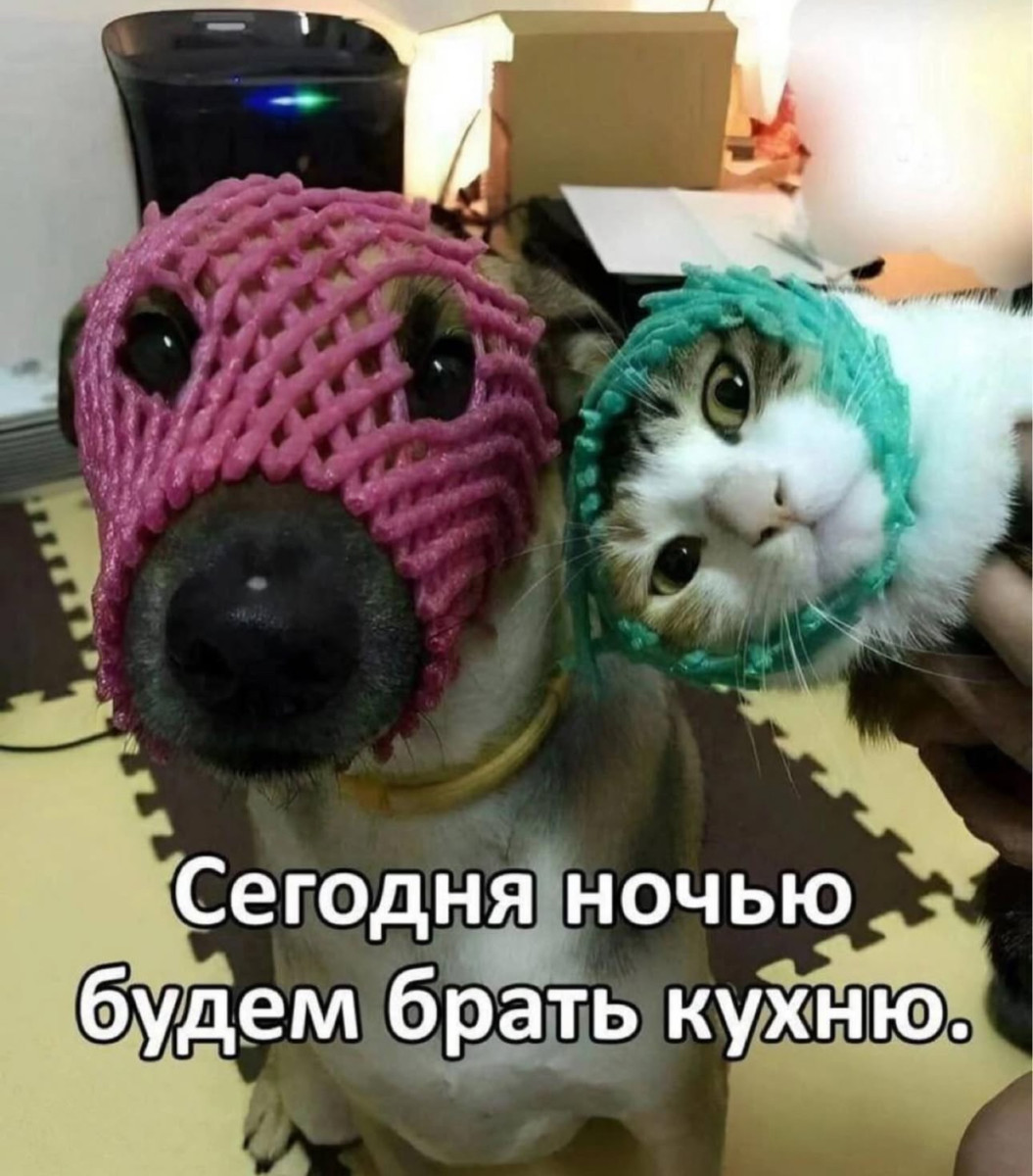 Звонок будильника означает, что лучшая часть суток уже закончилась... Звонок будильника означает, что лучшая часть суток уже закончилась...