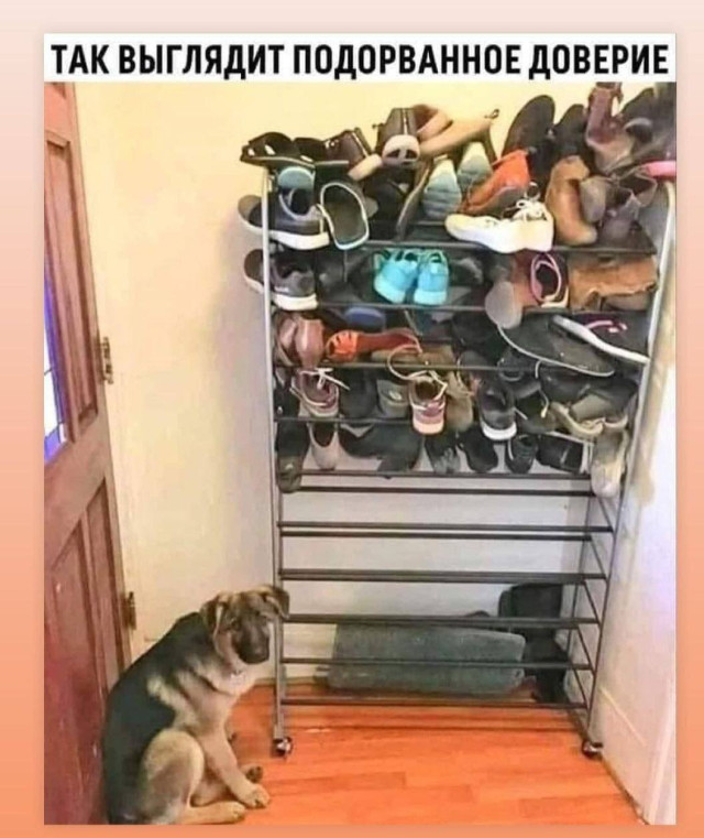 Мемы, смешные картинки, анекдоты и пицца 