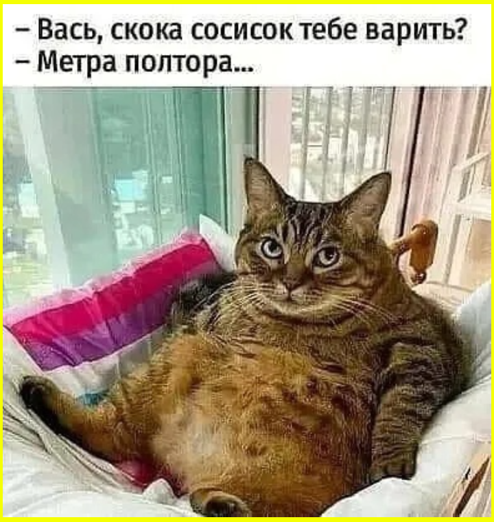 Сегодня призналась подбородку, что он у меня не первый.... 