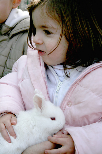 Самый опасный зоопарк в мире путешествие,страны,туризм