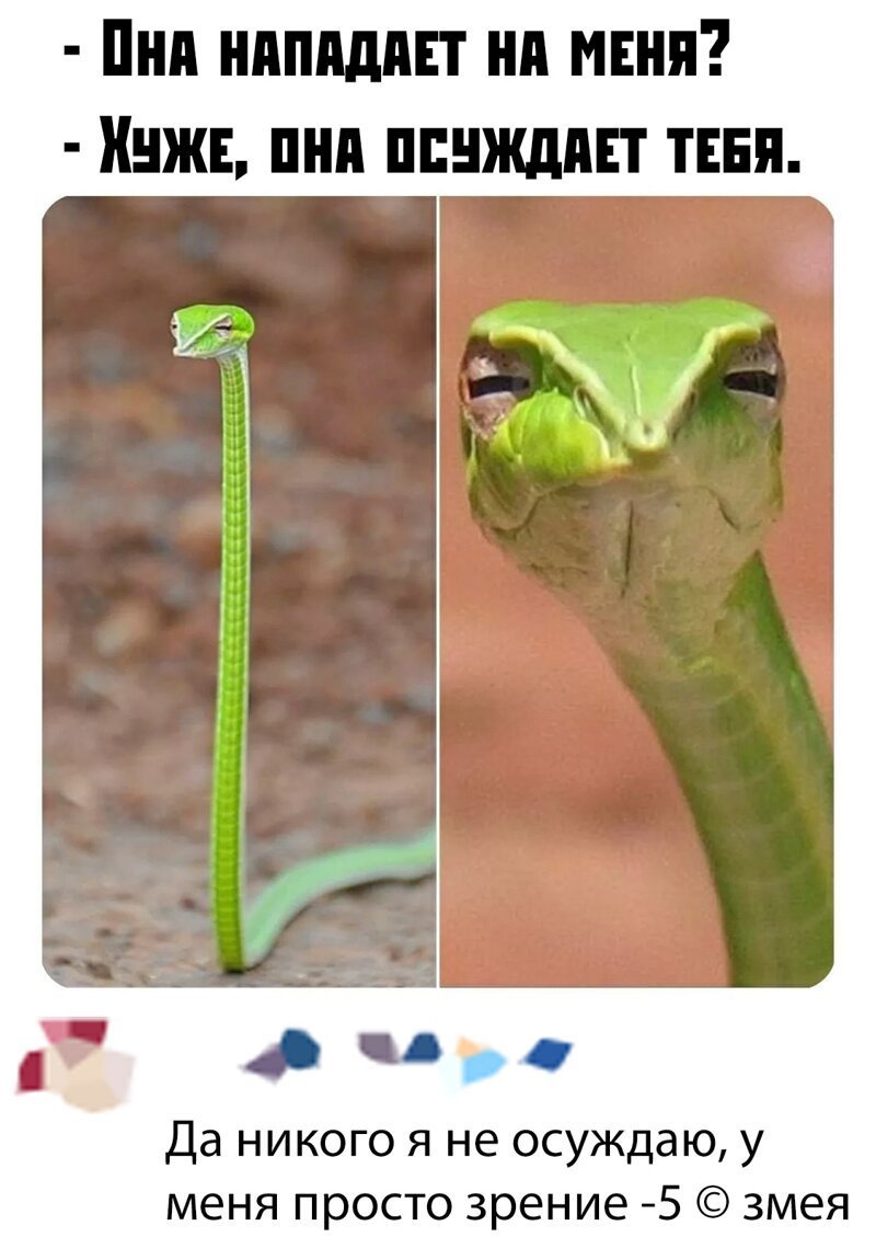 Змея мемы