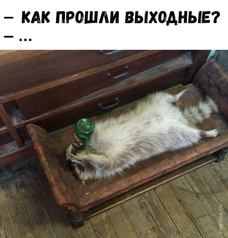 Мемы и свежие приколы 