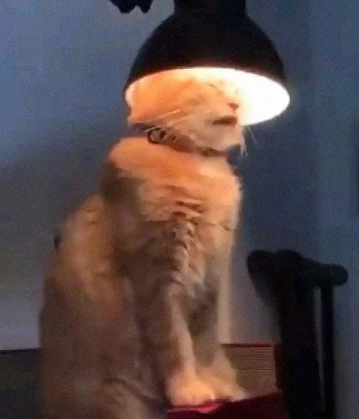 Bigpicture ru без названия 2022 06 24t220838.807