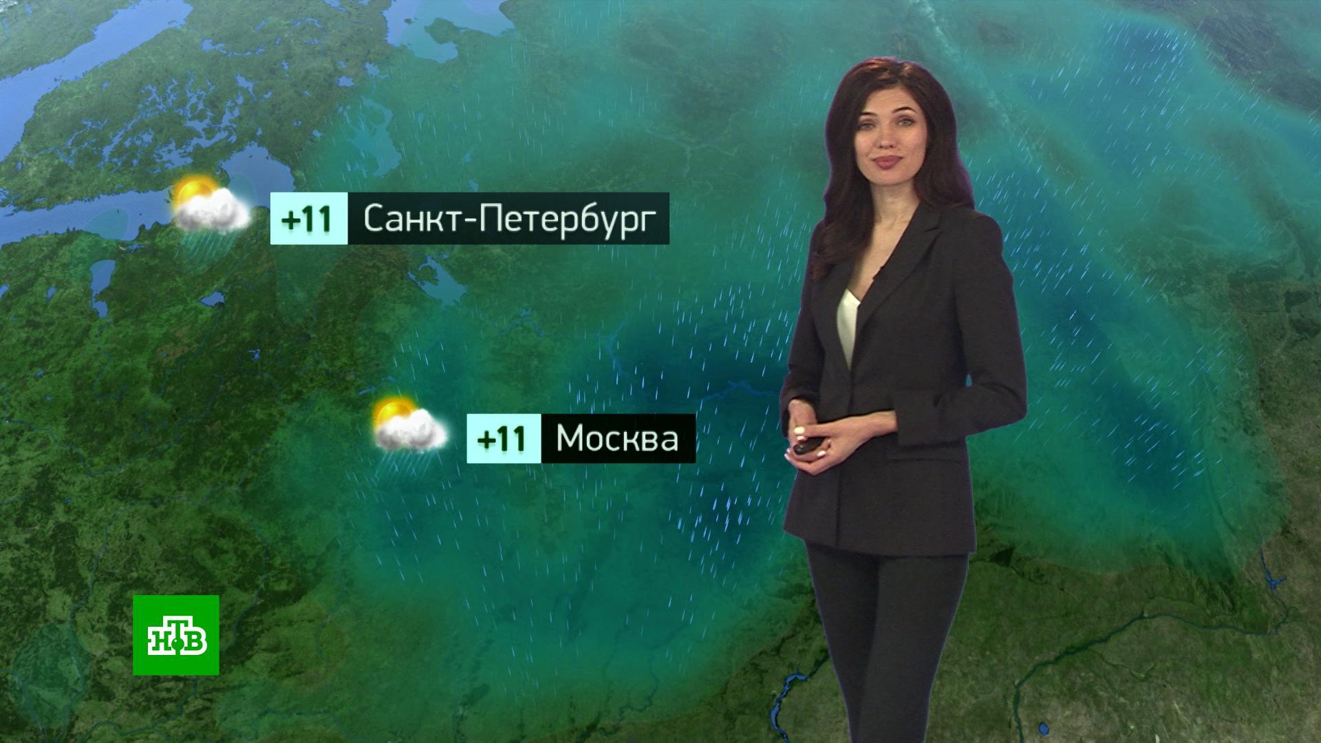 Температура в москве в сентябре. Погода во второй половине сентября 2024. Погода во второй половине сентября 2024. Погода во второй половине сентября 2024. Температура в сентябре 2022.