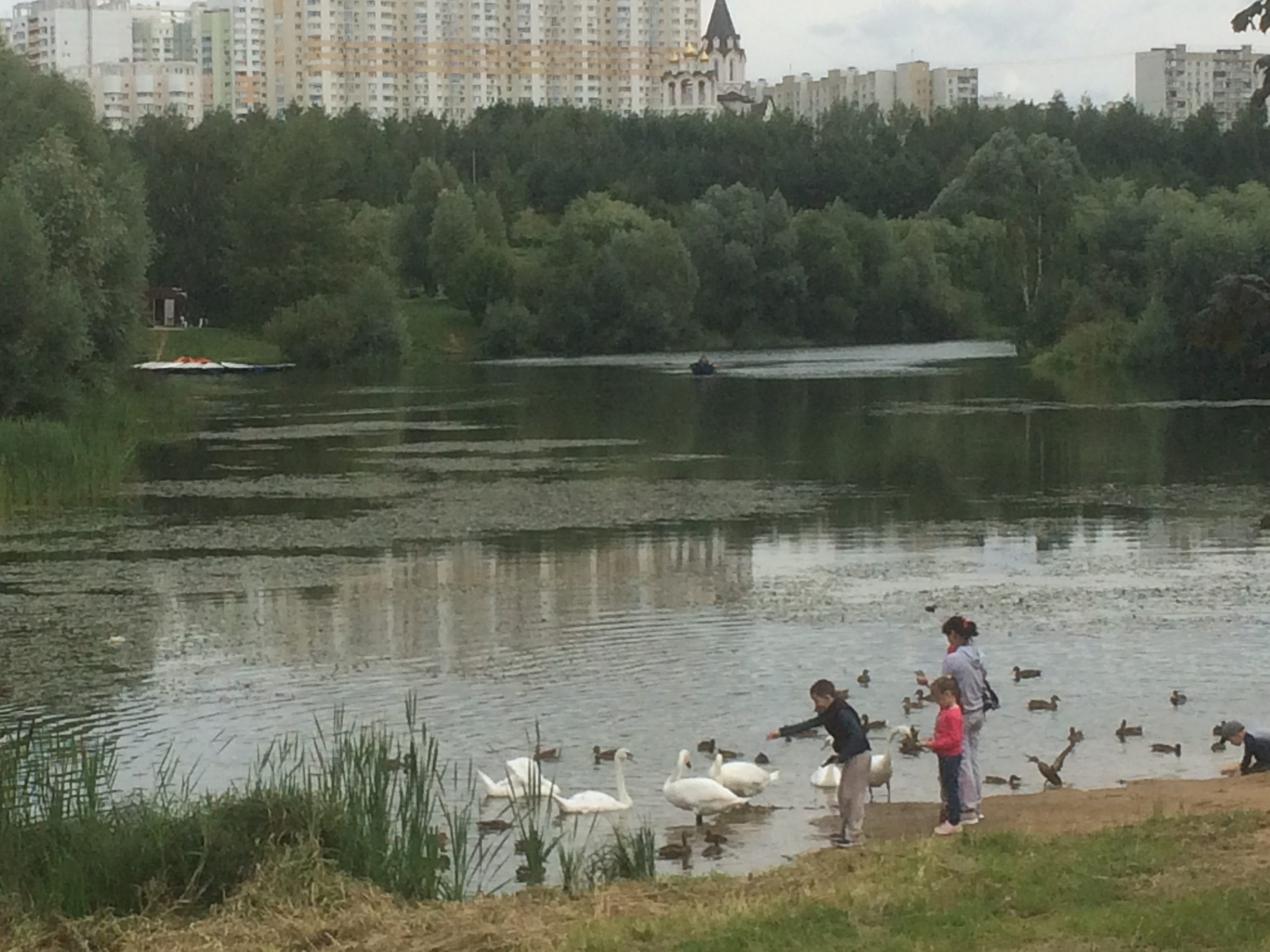 Рождественский пруд в митино фото