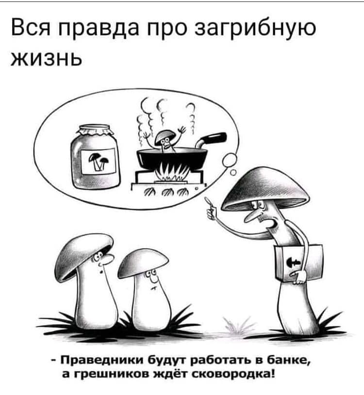 Юмор из интернета 693 Юмор из интернета 693 позитив,смех,улыбки,юмор