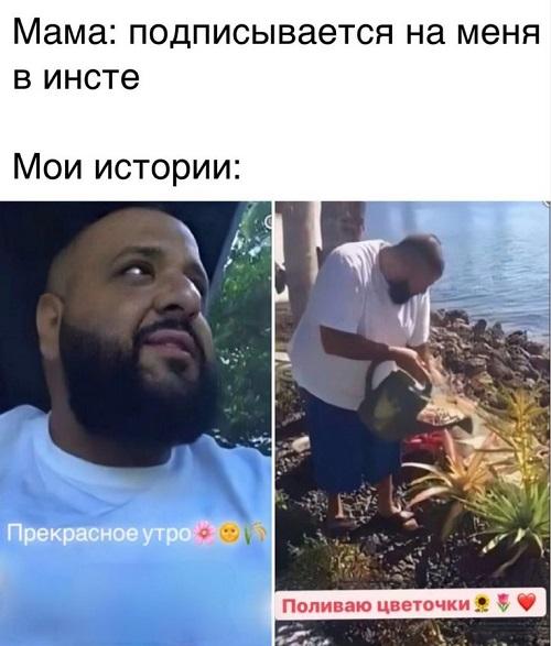 Ржачные свежие картинки с надписями 