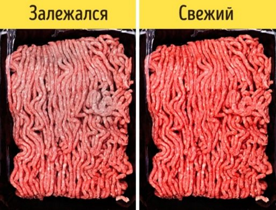 фарш (560x425, 586Kb)