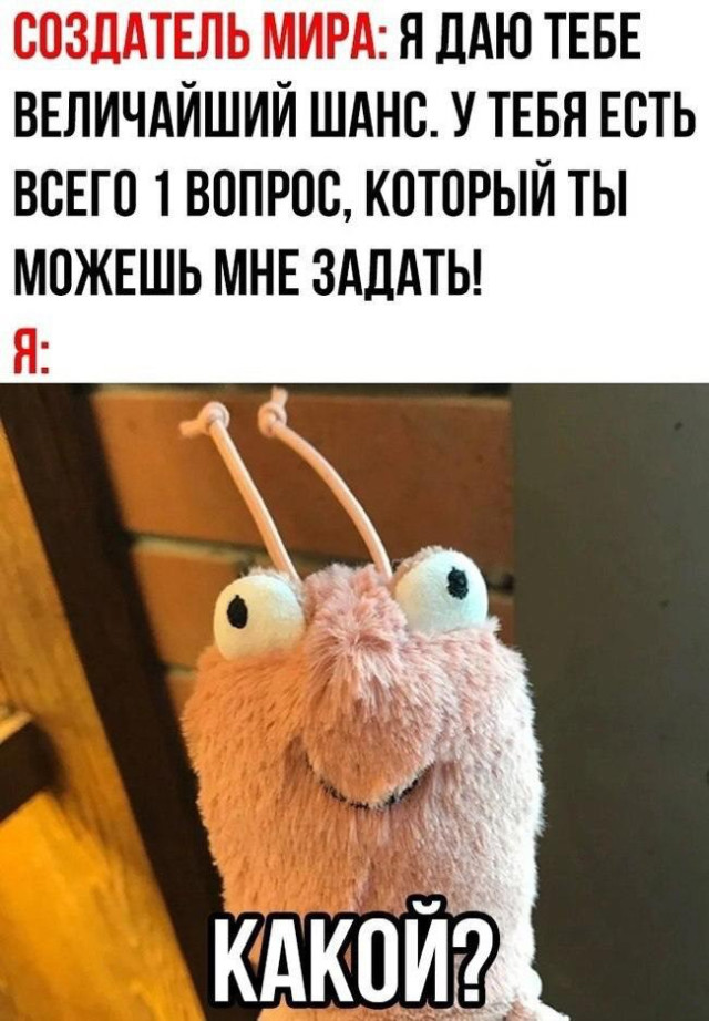 Весёлые картинки для всех: «Диалог между двумя гениями» 