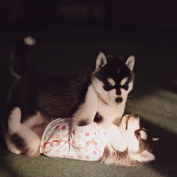 Классные и красивые фотографии из нашей жизни Классные и красивые фотографии из нашей жизни