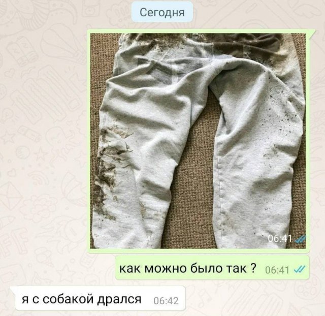 Смешные переписки