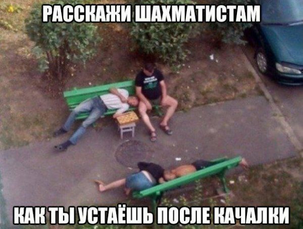 Если вам на ногу упал кирпич, а вы не знаете русского языка, то вам собственно, и сказать-то нечего... анекдоты,демотиваторы,приколы,юмор