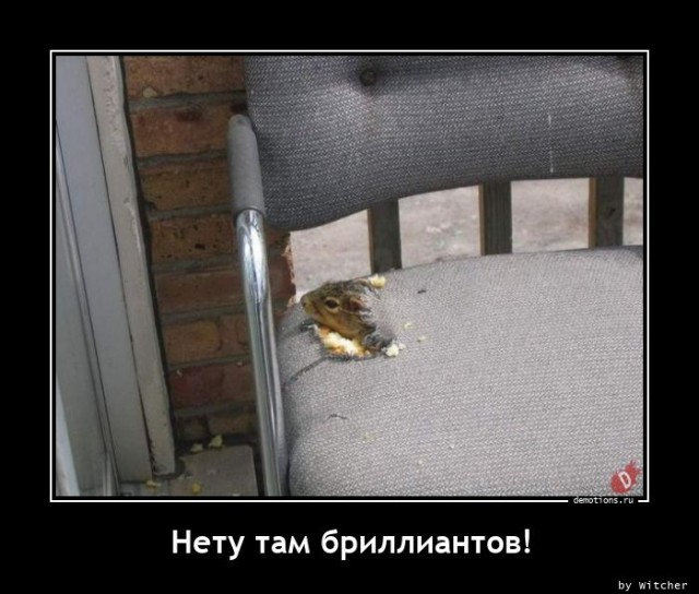 Демотиваторы дня: «Красивое» Демотиваторы дня: «Красивое»