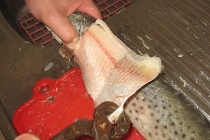 4 варианта, как быстро почистить рыбу, чтобы чешуя не летела во все стороны чешуи, чешуя, чтобы, очень, тушку, плавники, можно, потом, кипятком, кухне, лучше, чешую, чистке, чешуйки, слизь, жидкость, избавиться, нужно, мелкими, только