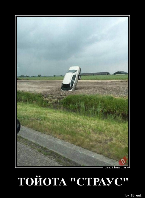 Свежая порция прикольных демотиваторов для поднятия настроения! Свежая порция прикольных демотиваторов для поднятия настроения!