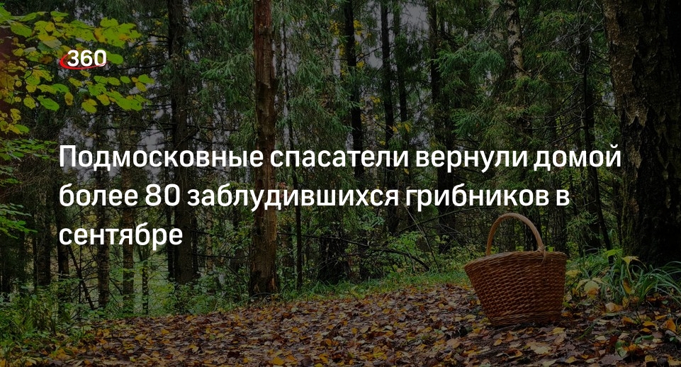 Подмосковные спасатели вернули домой более 80 заблудившихся грибников в сентябре