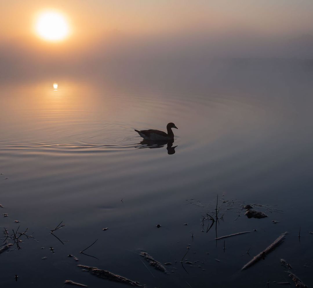 Красивая природа на снимках Кэт Готард природа