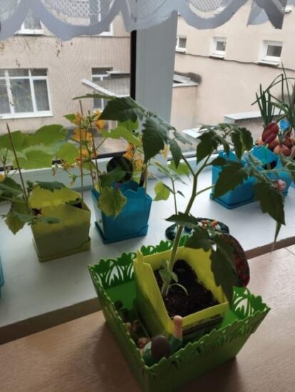 Во саду ли, в огороде.