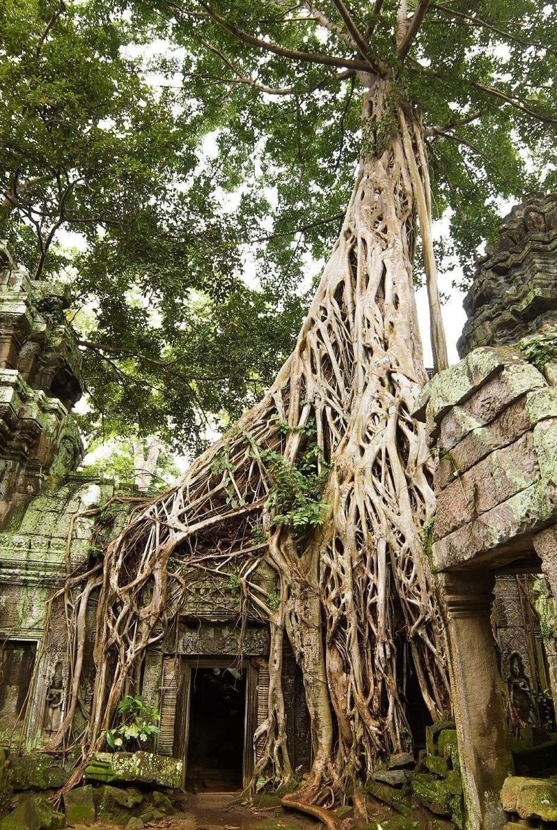 Сием Рип, Камбоджа Lonely Planet, архитектура, архитектурные шедевры, интересно, необычно, обязательно к посещению, путешественникам на заметку, чудеса света