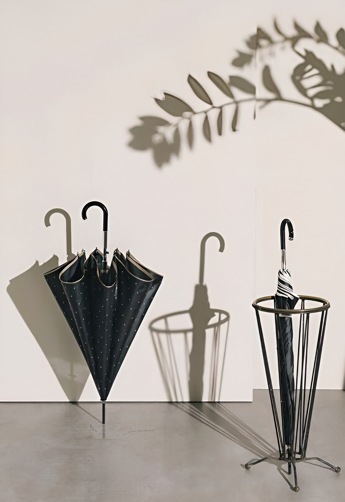 Камыши, ракушки и еще 8 вещей, которые нельзя держать дома держать, нельзя, который, плохая, образом, качестве, удачу, например, говорят, декора, стороны, примете, таким, квартиру, конечно, примета, одной, точки, просто, сочетание