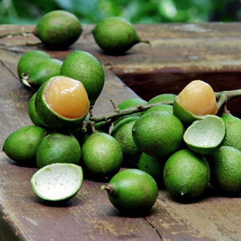 Картинки по запросу испанский лайм