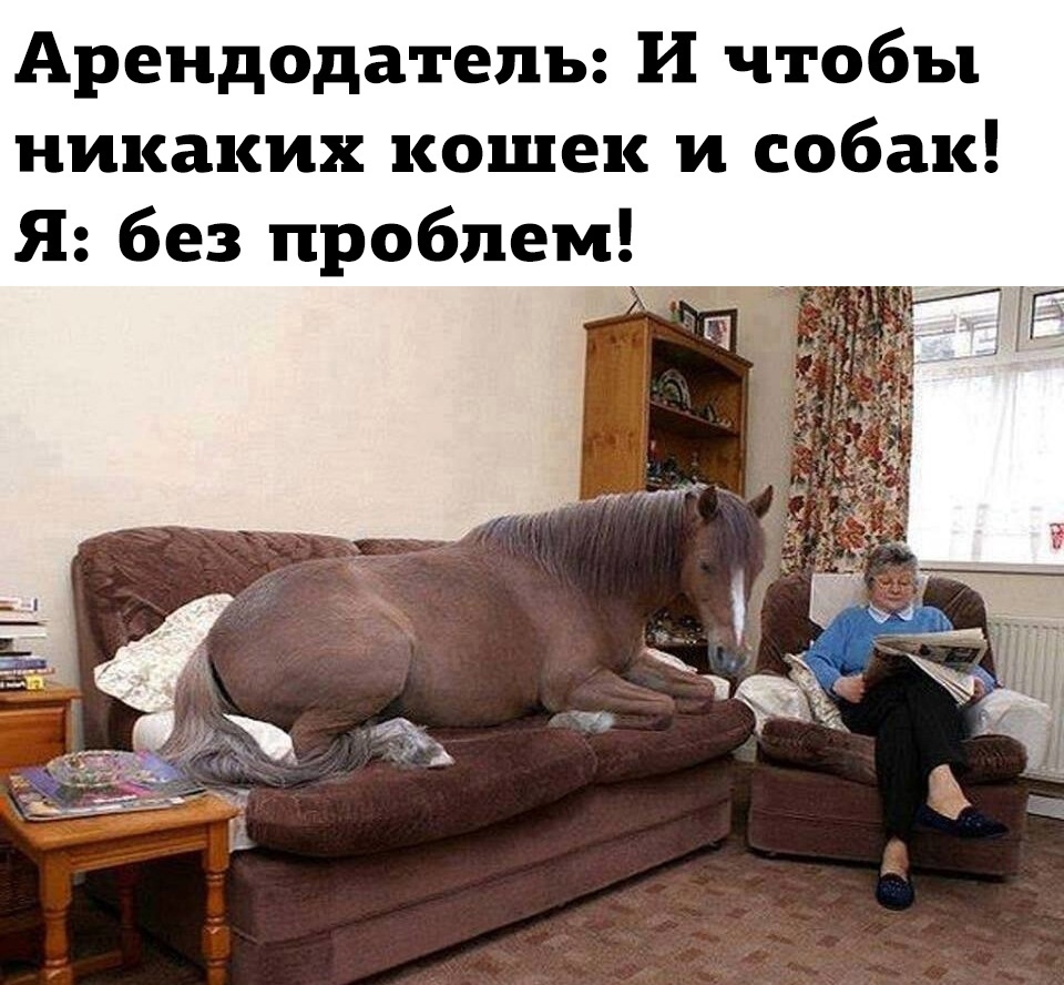 Юмор из интернета 693