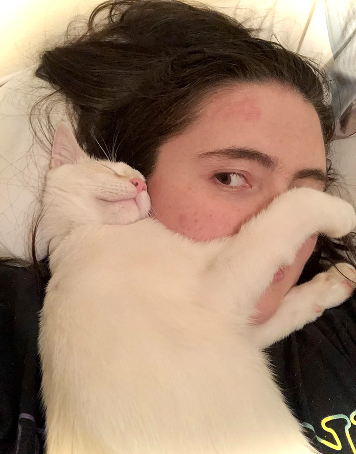 18 обитателей приюта, которые кого хочешь покорят, и моргнуть не успеешь 18 обитателей приюта, которые кого хочешь покорят, и моргнуть не успеешь