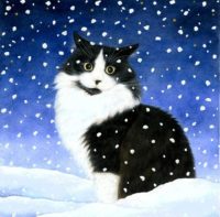 Кошачьи колядки