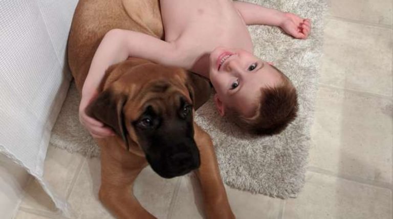 BeFunky-collage - 2020-02-06T140336.845