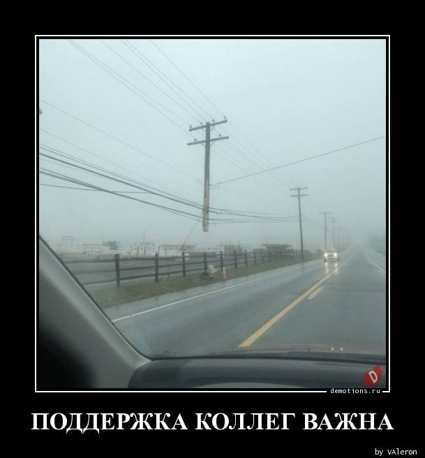 Демотиваторы в конце недели: «Поддержка коллег важна»