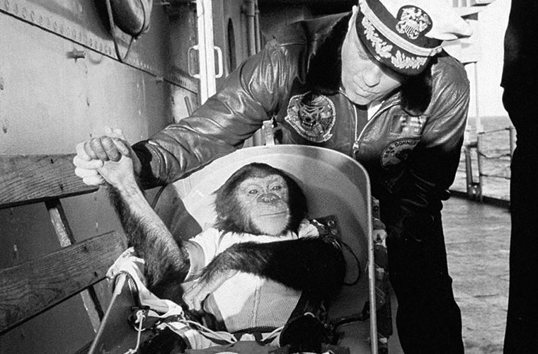 Первая обезьяна полетевшая в космос. Обезьяны Эйбл и Мисс Бейкер в космосе. Макак-резус Эйбл и беличья обезьяна Мисс Бейкер. Шимпанзе Хэм космонавт.