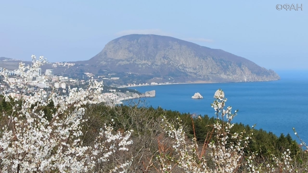 Крымский блогер показал, какие места стоит посетить в Гурзуфе за один день Общество