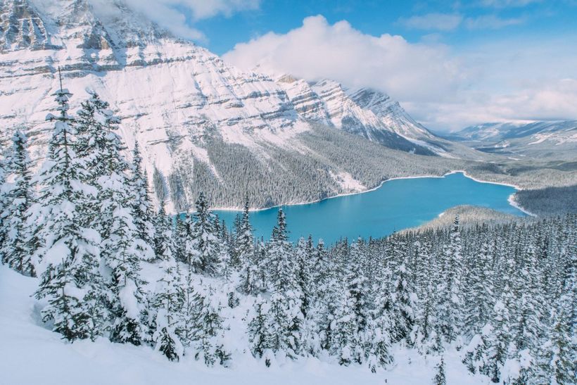 Канадское озеро Пейто: почему оно имеет такой восхитительный цвет воды