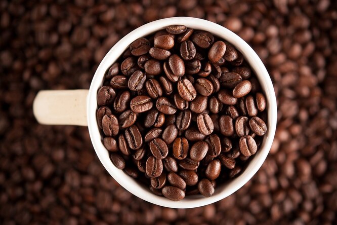 Методы варки кофе: научный взгляд