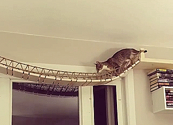 бизнес, идея, индиана джонс, котики, мебель, мост, своими руками, стена
