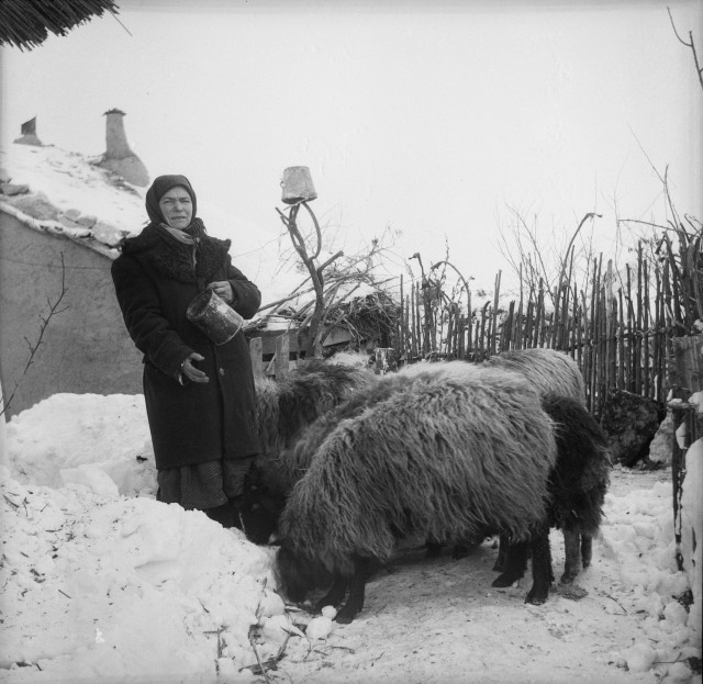 Архив сельского фотографа  СССР : в заброшенном доме нашли тысячи снимков 1950-70-х годов Галушка, будни, чемодан, Рошиетичь, фотографалюбителя, Кушнир, чердаке, советского, племянник, обладателем, объезжал, фотоаппарата, «Любитель», вернувшийся, велосипеде, соседние, армии, колхозе, научил, Фотографировать