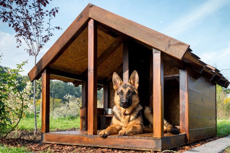 Будка-домик для собаки - Чертежи, 3D Модели, Проекты, Архитектурные формы
