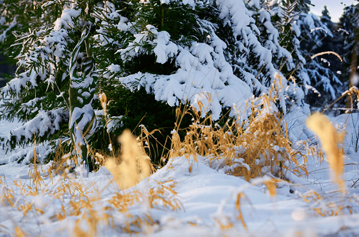 Попробуйте найти голую девушку на фотографии Путешествия,фото