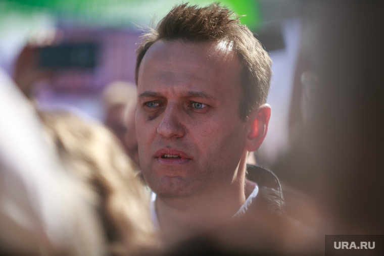 Политолог: Навальный мог отравиться из-за своего уголовного дела