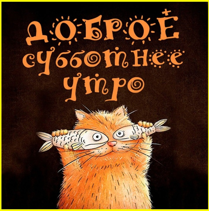 Доброутрешние субботние весёлые картинки