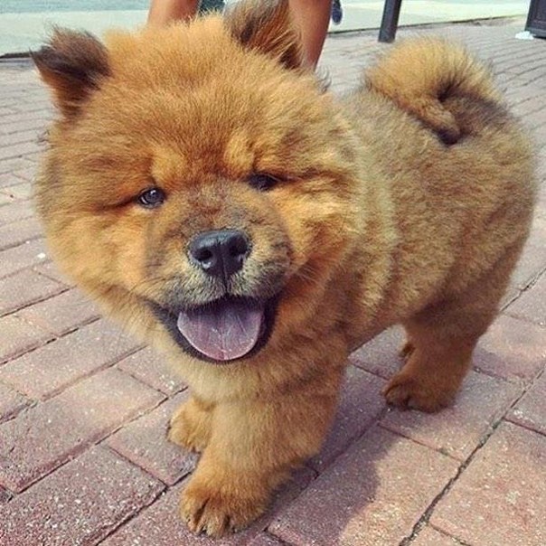 Подборка забавных фотографий и смешных картинок из нашей жизни Подборка забавных фотографий и смешных картинок из нашей жизни красивые фотографии,прикольные картинки,шикарные фотографии